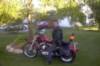 Lomira Single Women